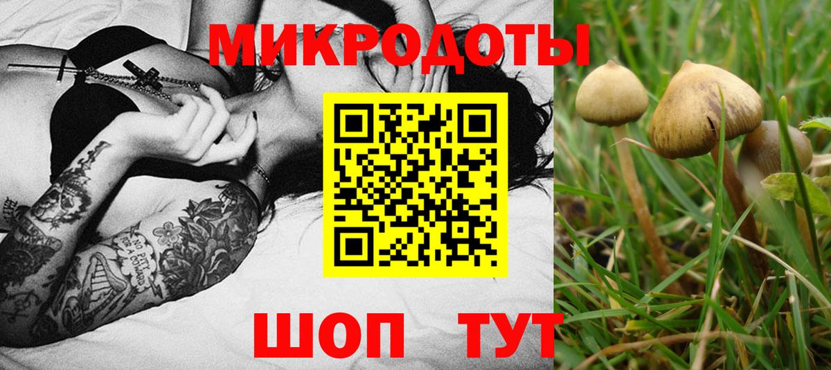 Галлюциногенные грибы Psilocybe  Вход с VPN  Десногорск  Галлюциногенные грибы Psilocybe 